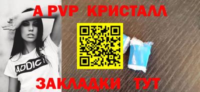 PSILOCYBIN Гатчина