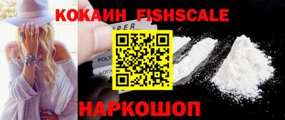 PSILOCYBIN Гатчина