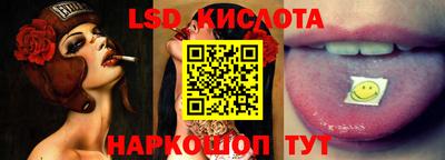 PSILOCYBIN Гатчина