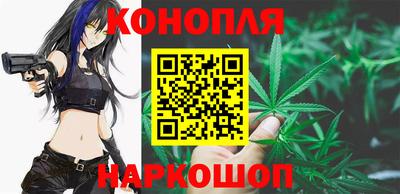 PSILOCYBIN Гатчина