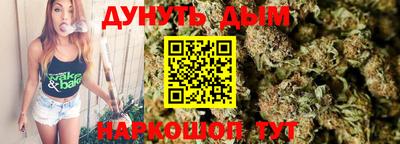 PSILOCYBIN Гатчина