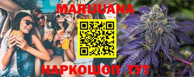 PSILOCYBIN Гатчина