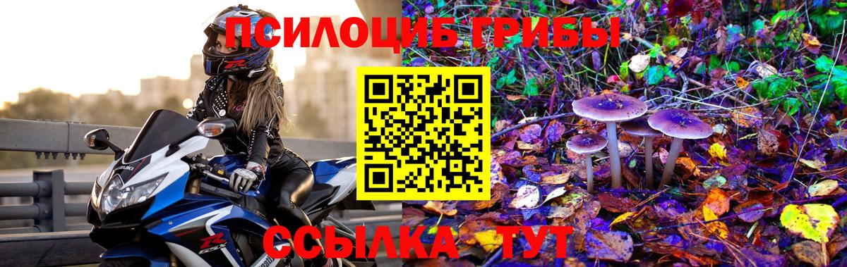 Галлюциногенные грибы ЛСД Новочебоксарск